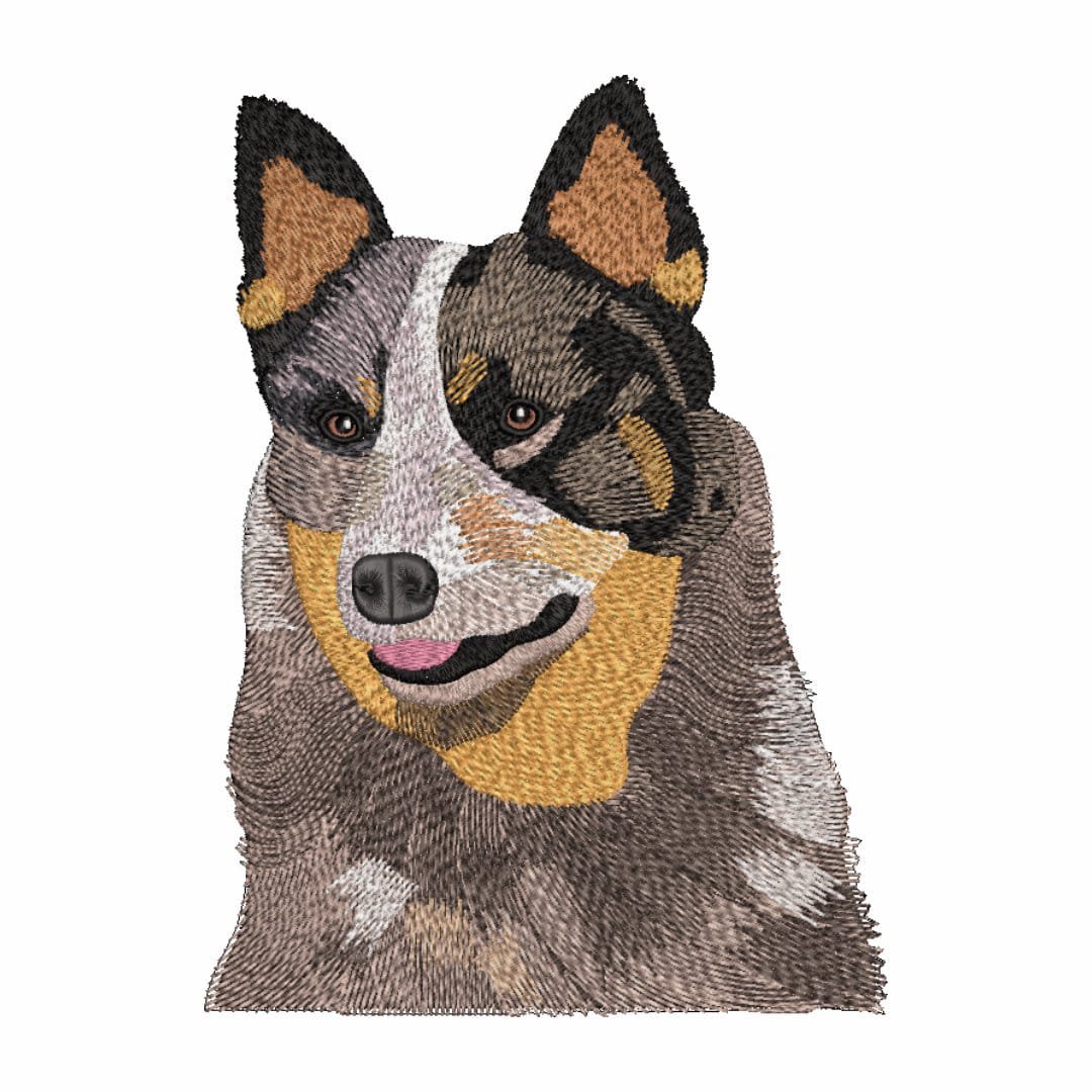 Digitizing Sample 3